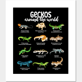 Geckos around the world - Types of Geckos Posters and Art